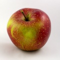 Wellant-Apple.jpg