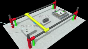 INfAPM-concept-video screen-capture.png