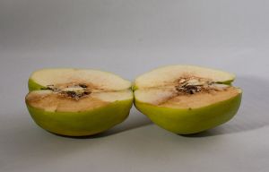 Quince (10921s) localcopy.jpg