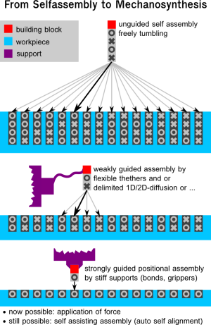 From-selfassembly-to-mechanosynthesis-v1.0.png